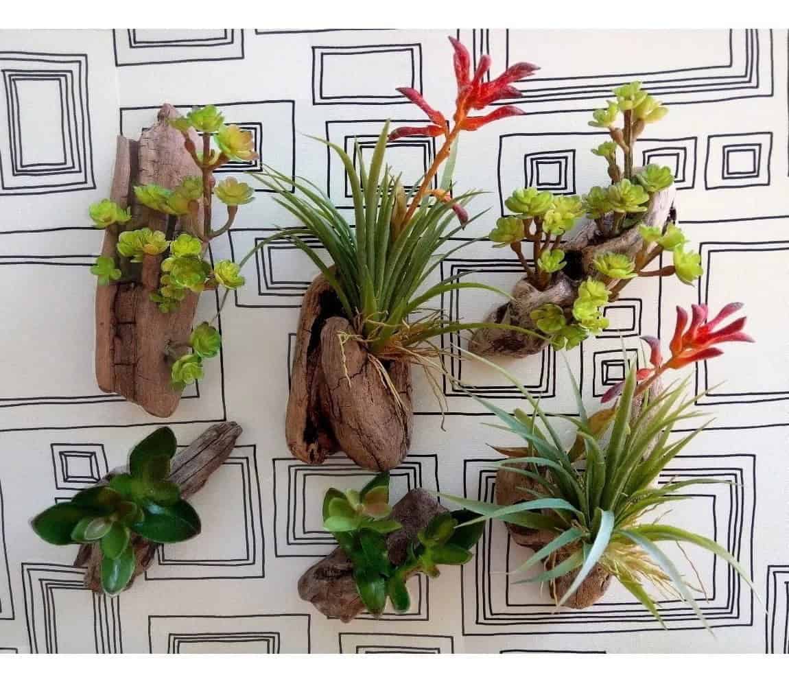 Create a Tiny Wall Garden