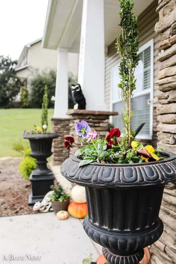 Fluted Black Pedestal Urn Planters