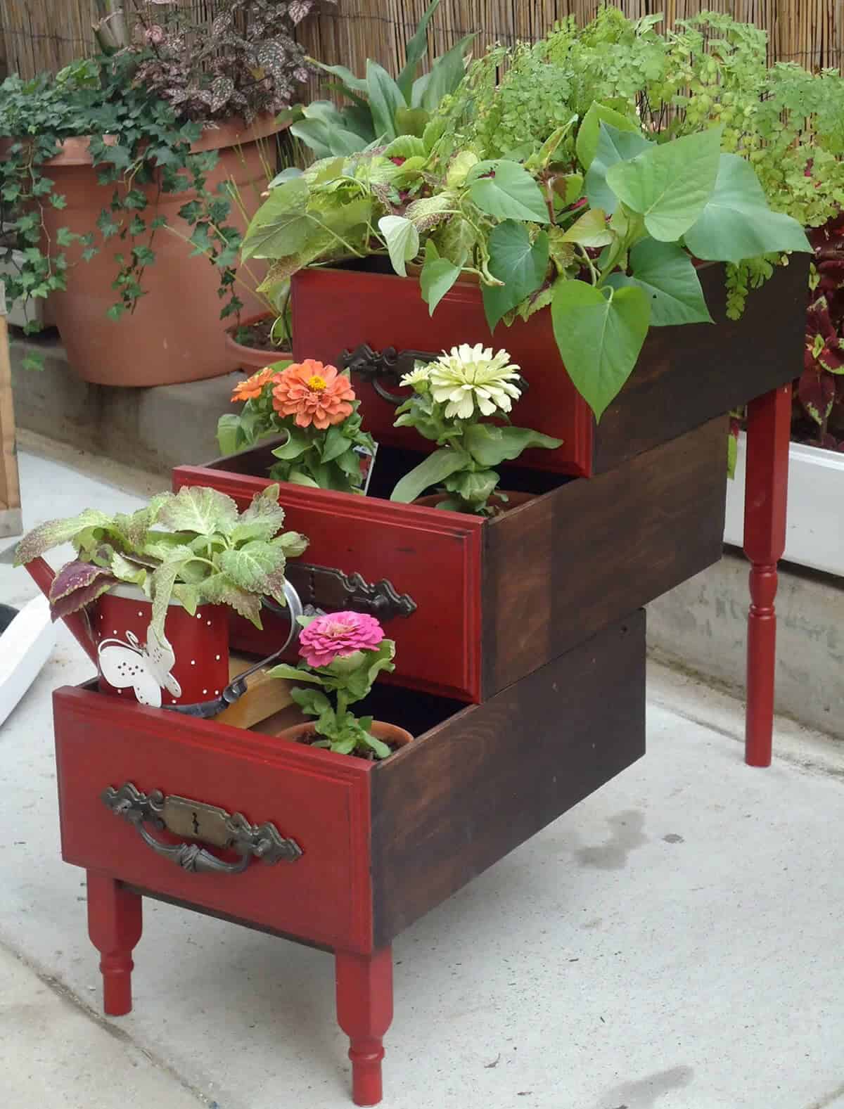 Graduated Drawers with Different Flowers