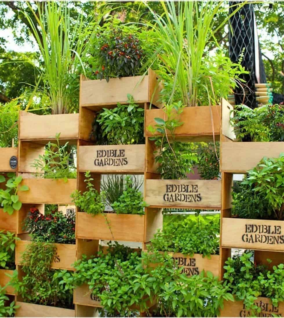 Stack Crates for a Tiered Edible Garden