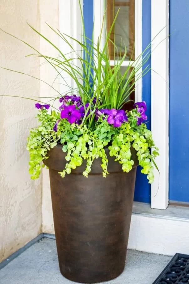 Beautiful Vase Porch Planter Setup