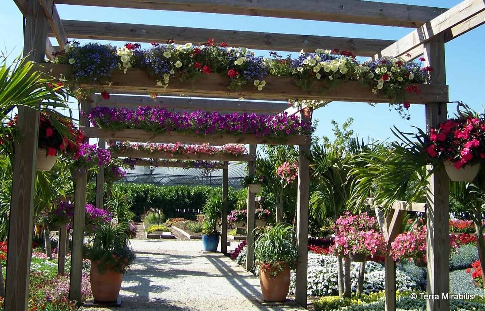 Botanical Promenade Pergola With Planter Implements