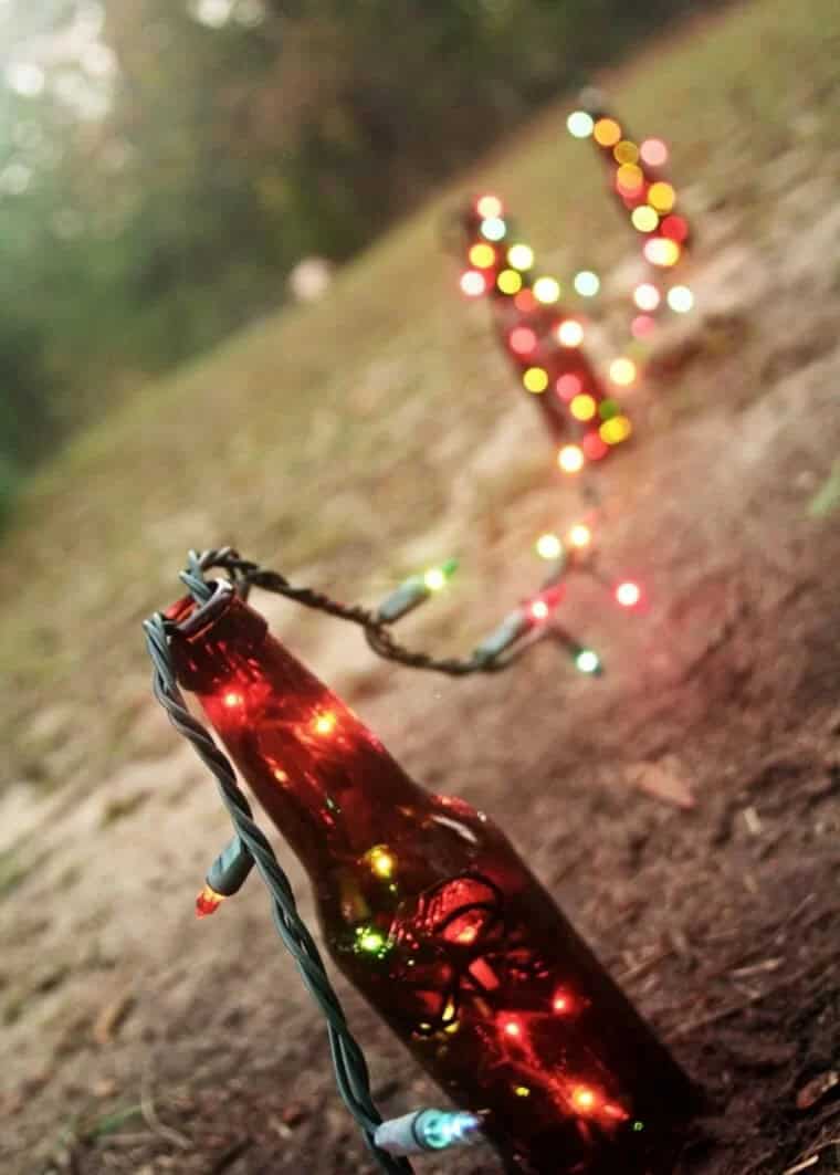 Beer Bottle Colored Light Strands