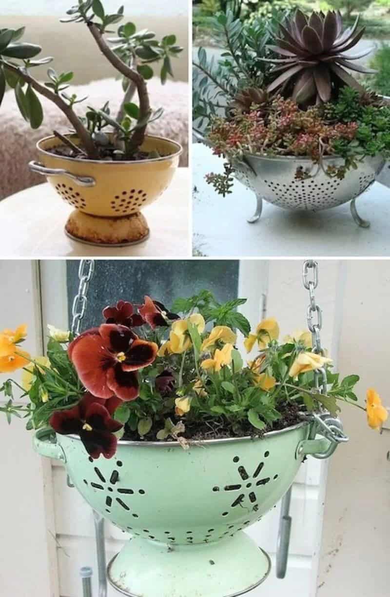 Cute and Easy Colander Planters