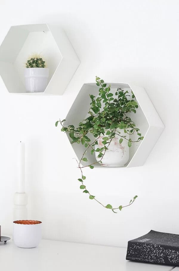 Homemade Hexagon Wall Shelves for Plants