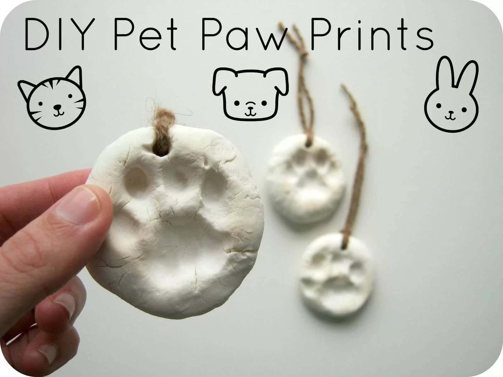 Paw Prints