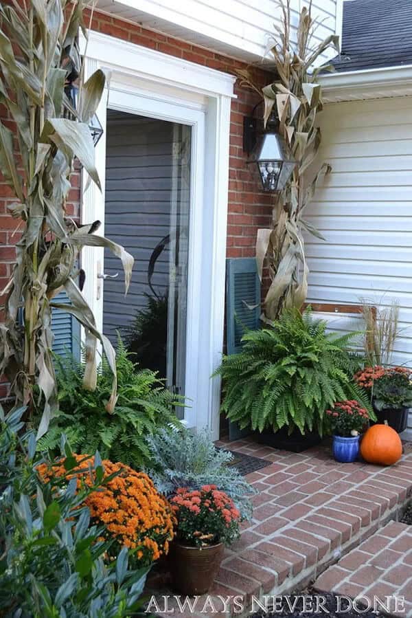 Creatively Arranged Plants and Shutters