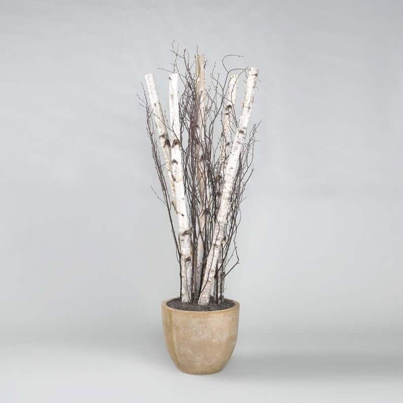 Floral Centerpiece Real White Birch Branches