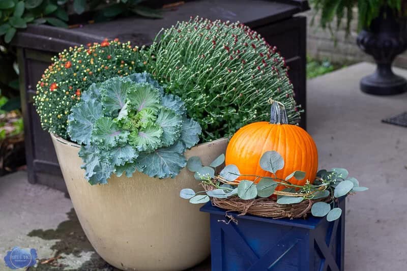 Classic Round and Boxed Planter Set