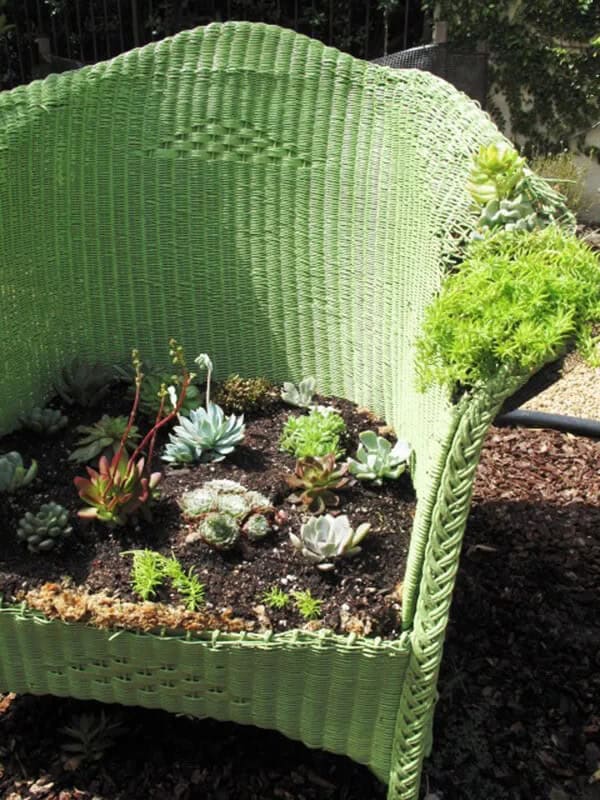 A Succulent Seat Fit for Two