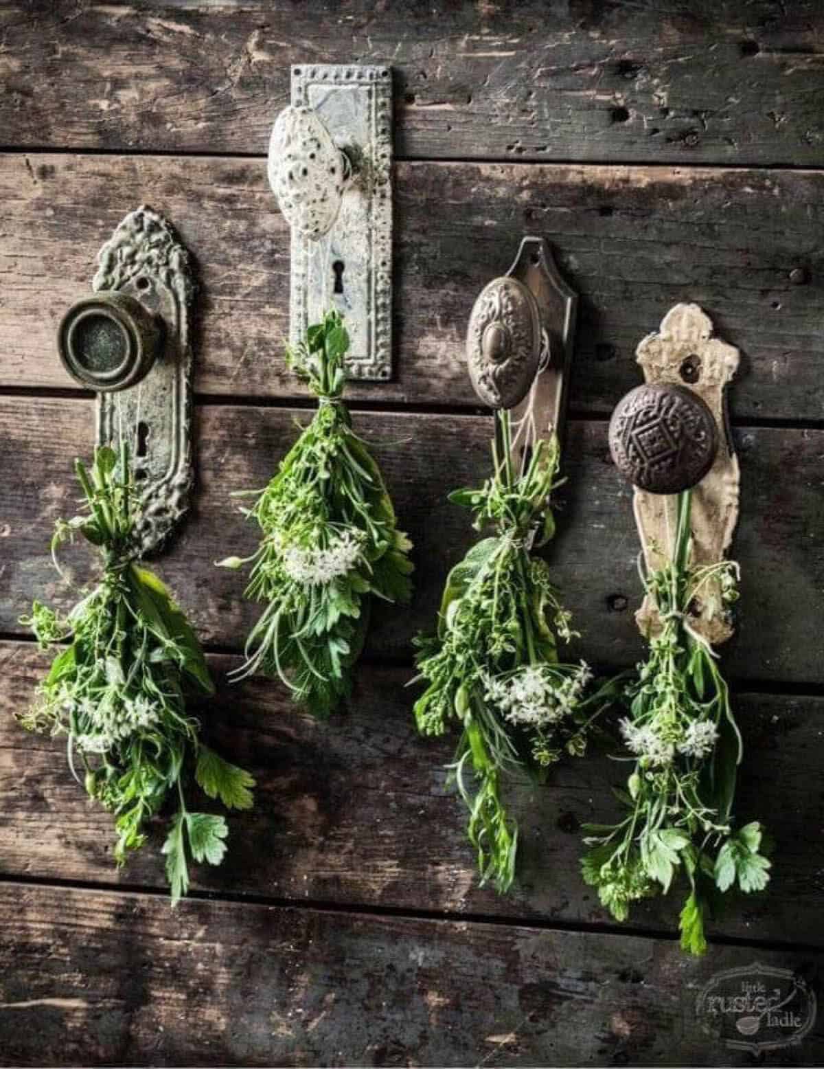 Antique Doorknob Flower and Herb Drying Display