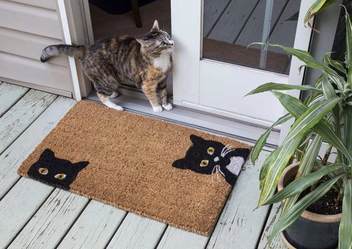 Fun Peeping Cats Hand-Woven Doormat