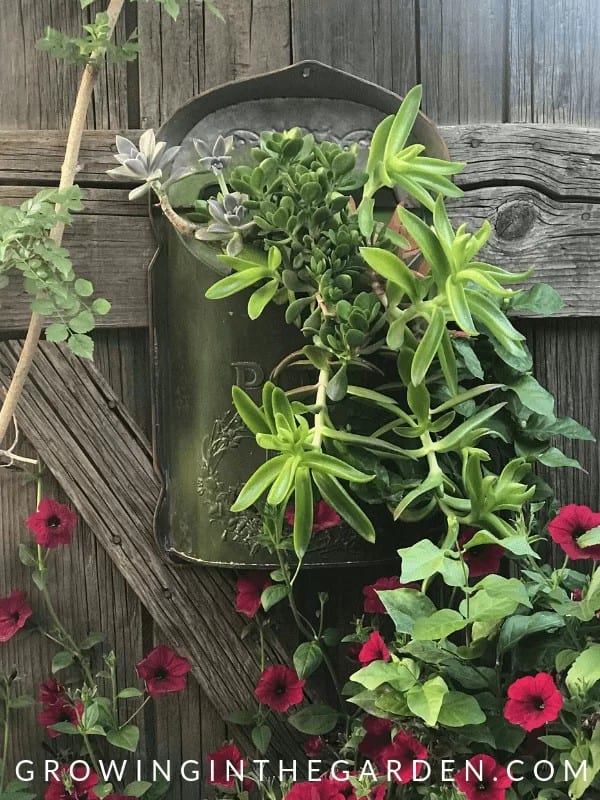 Repurposed Mailbox Succulent Garden Container