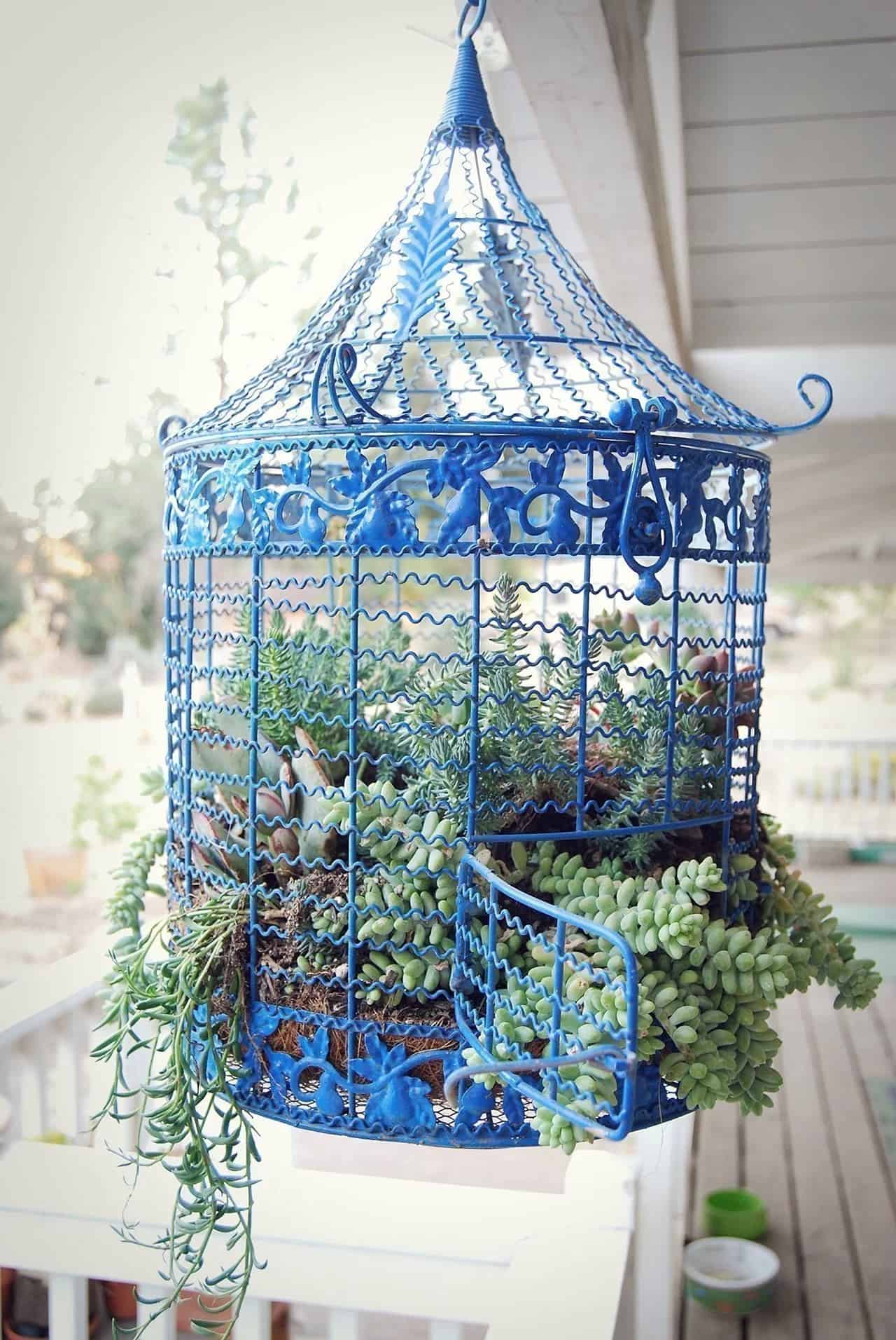 Hanging Mini-Garden within your Garden