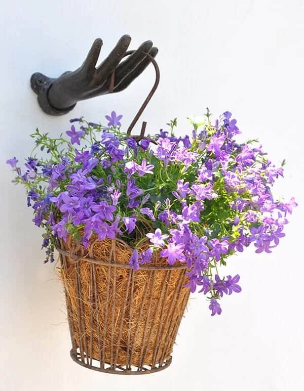 Hand and Hook Wire Flower Basket Holder