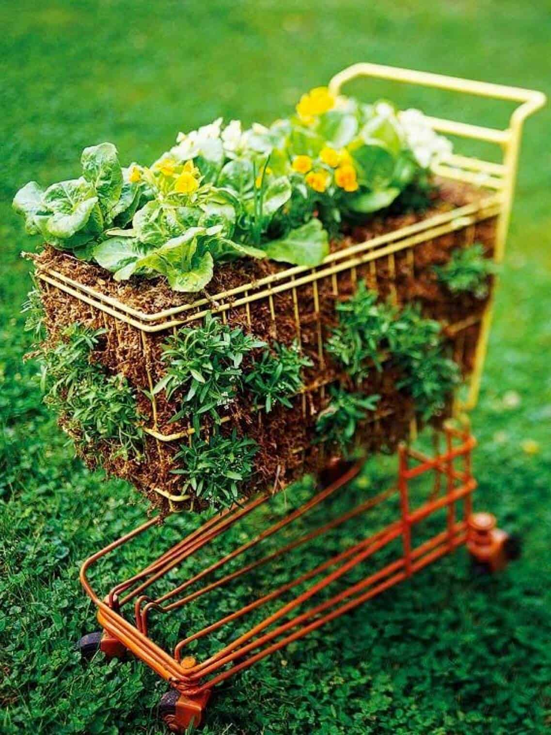 Toy Shopping Cart Filled with Flowers