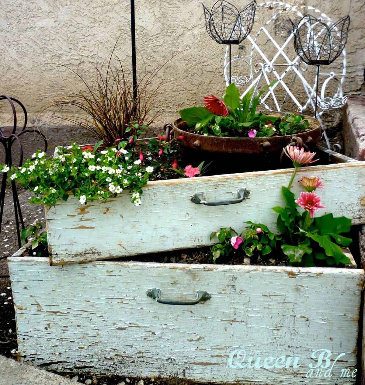 Mini Garden in a Recycled Drawer