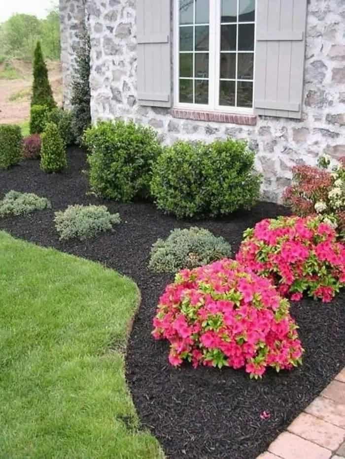 Backyard Landscaping Ideas for First-Timers