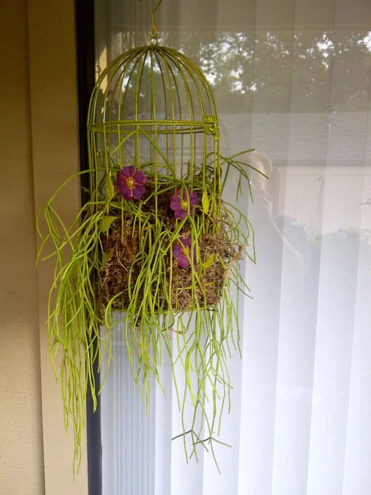 Simply Chartreuse Hanging Birdcage Plant Decoration