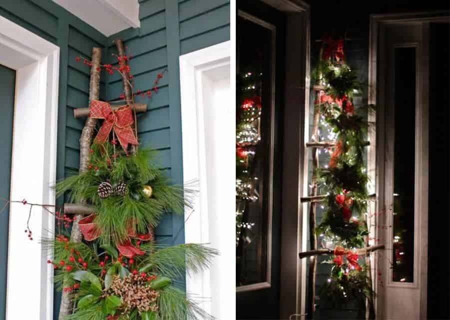 Pine Tree Branch Rope Ladder