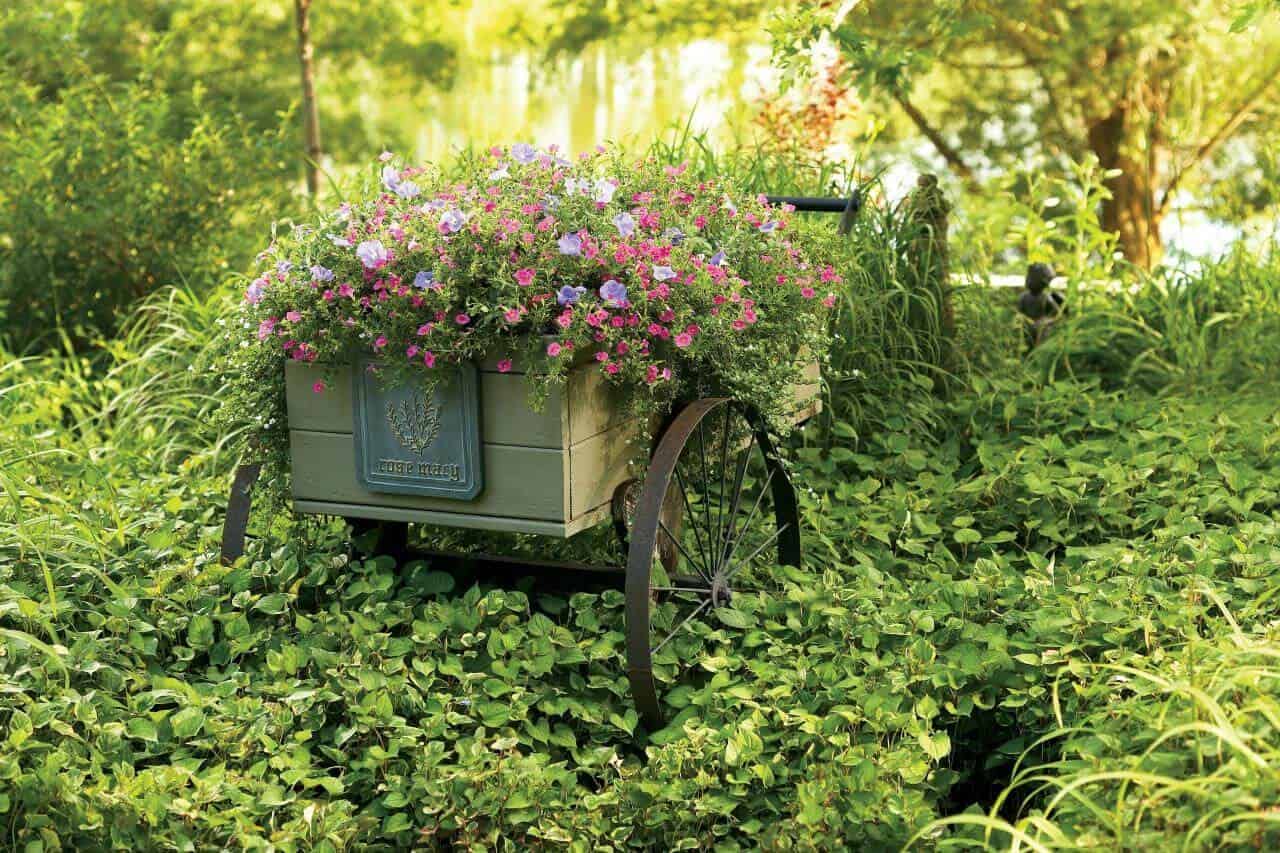 Planted Wheelbarrow in Lush Greens