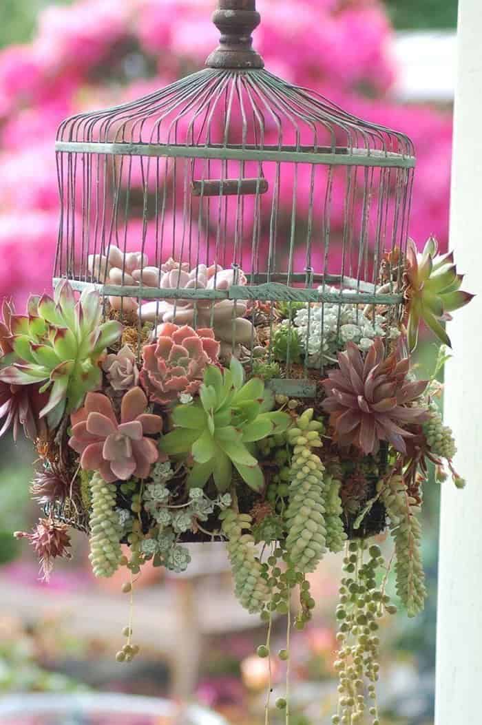 Low-key Birdcage Planter Design