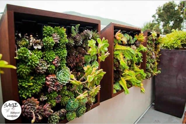 Wall Garden