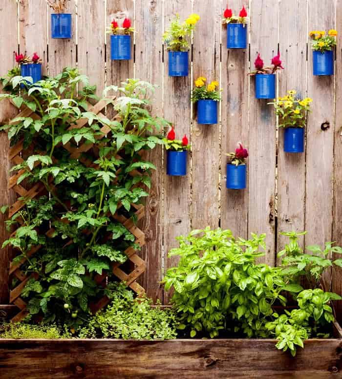 Charming Soup Can Special Individual Fence Planters