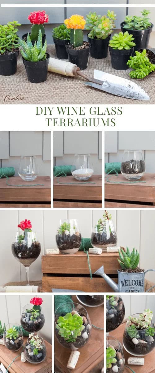 Wine Glass Mini Terrariums