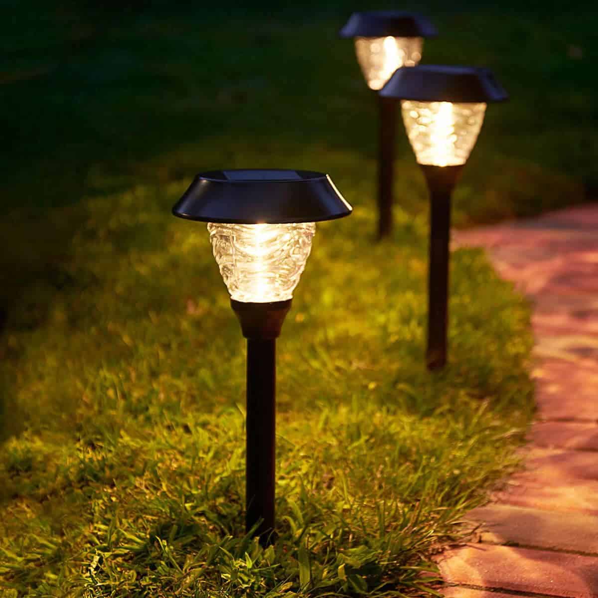 Light Your Way with Staked Solar Lights