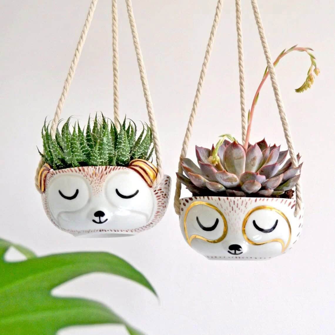 Sleepy Sloth Hanging Planter