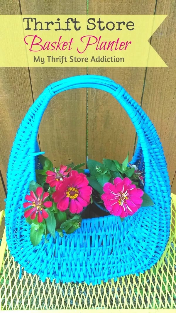 A Colorful Wicker Planter Wonderland