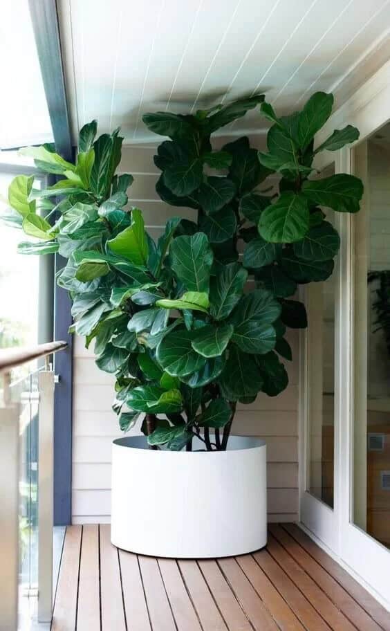 Beautiful Oversized White Porch Planter