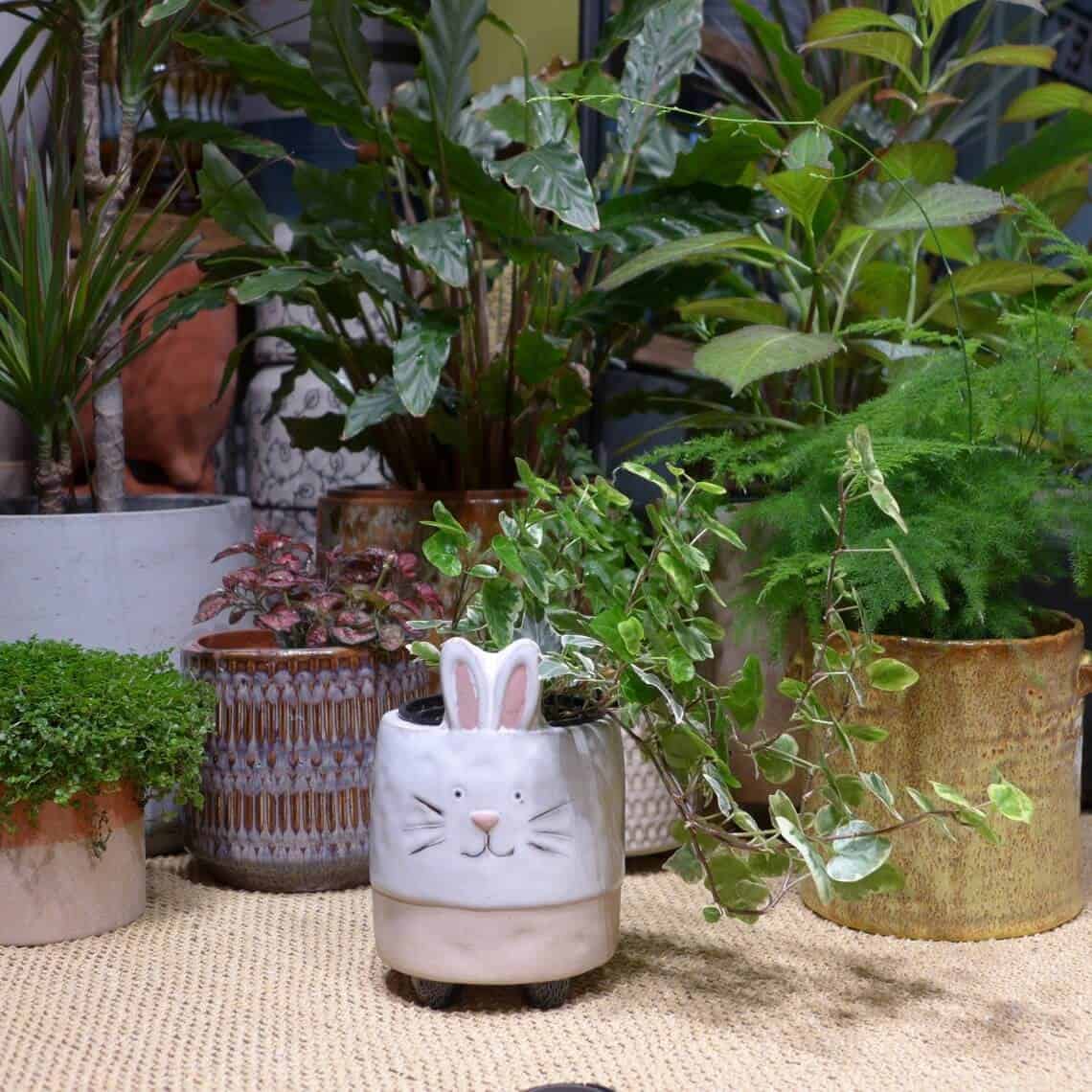 Unique Big White Bunny Planter