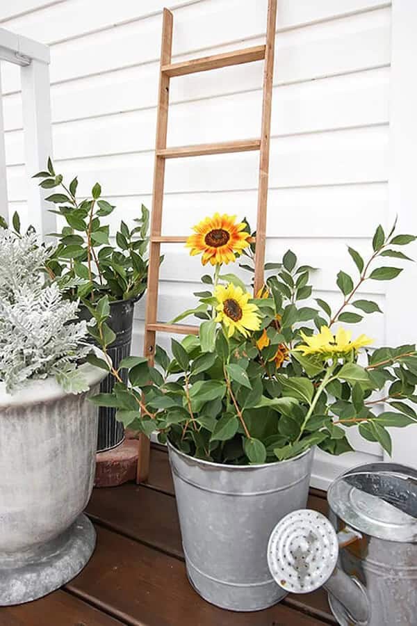 Versatile Mini Do-it-Yourself Farmhouse Ladder