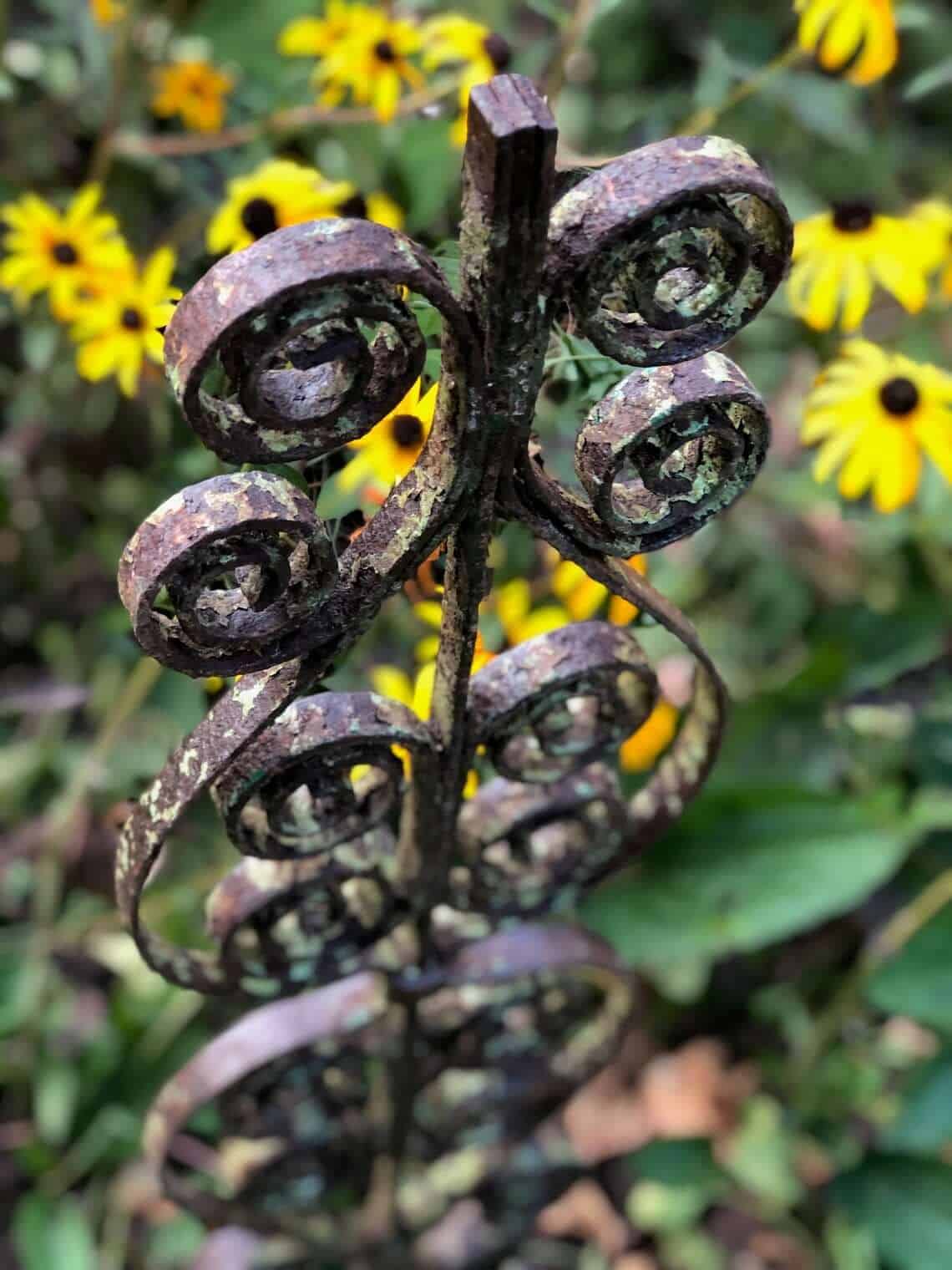 Vintage Wrought-Iron Fence Trellis for Vining Plants