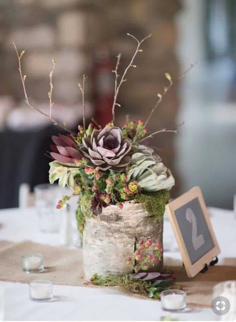 Birch Wood Succulent Planter Centerpiece