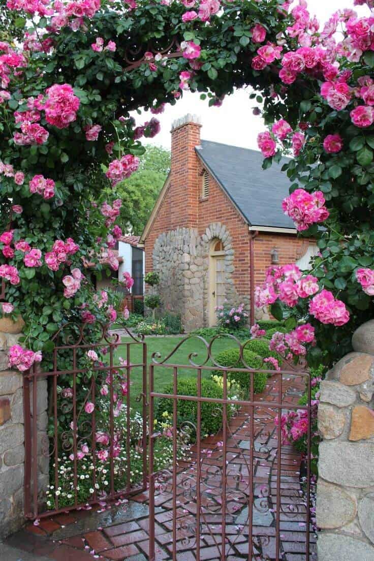 Double Roses on a Climbing Arch