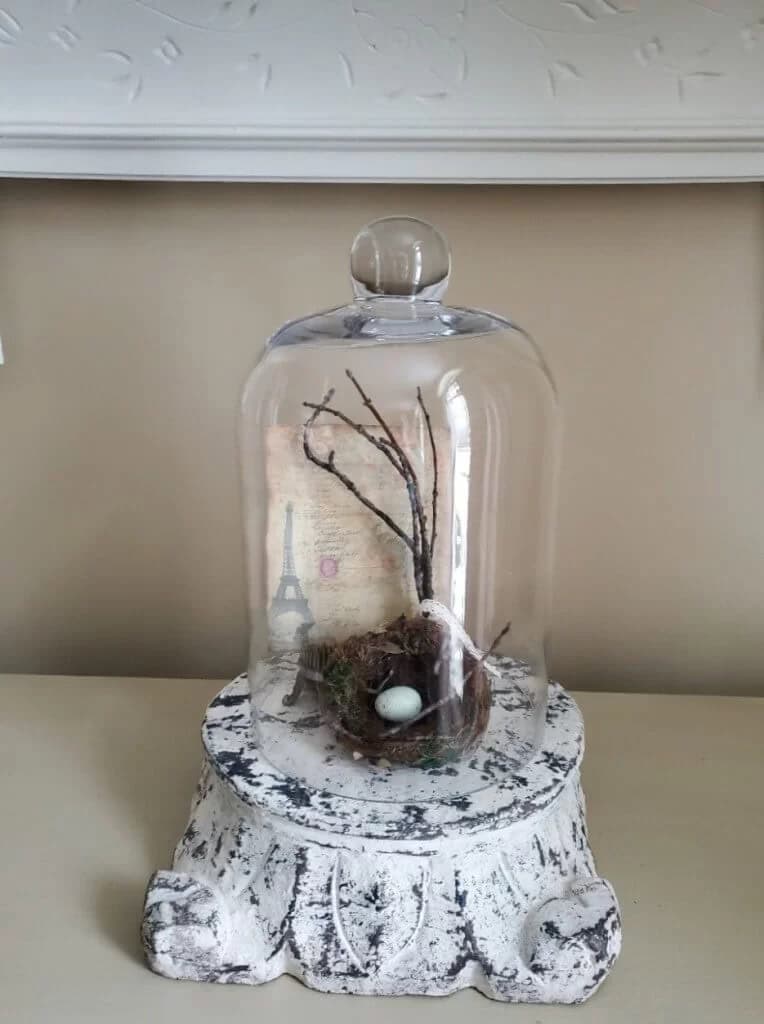 Decorative Vintage Base Bird Nest Glass Cloche