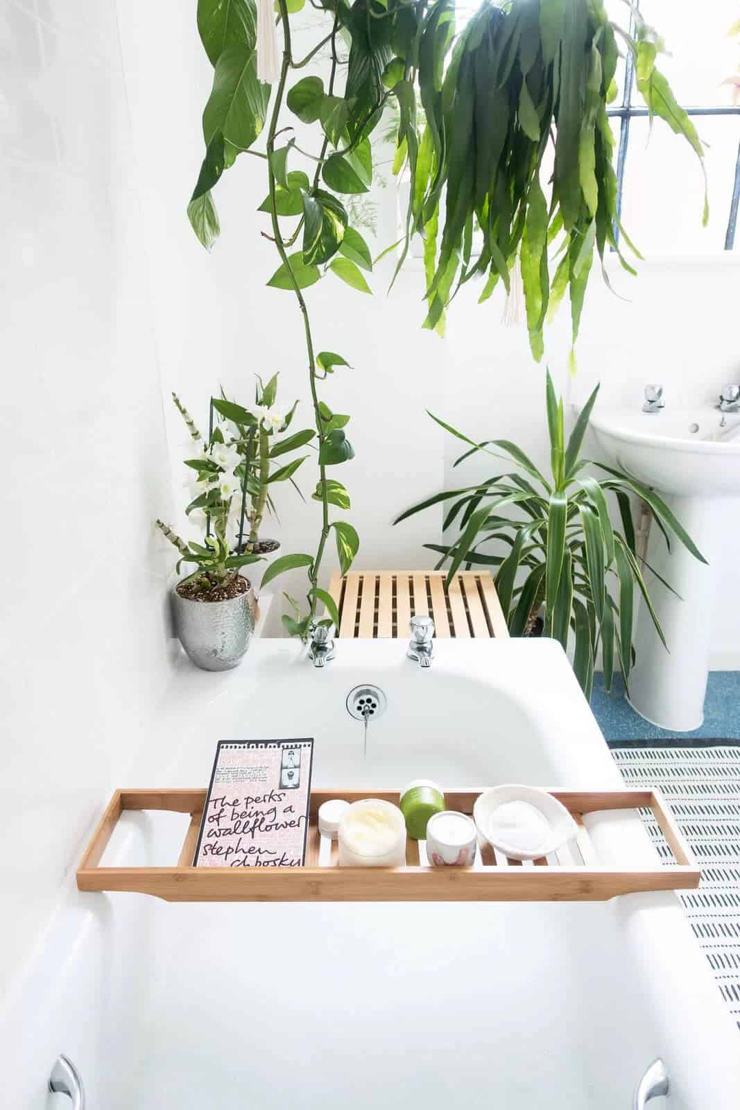 Slip into Serenity with Natural Light and Perfect Plants