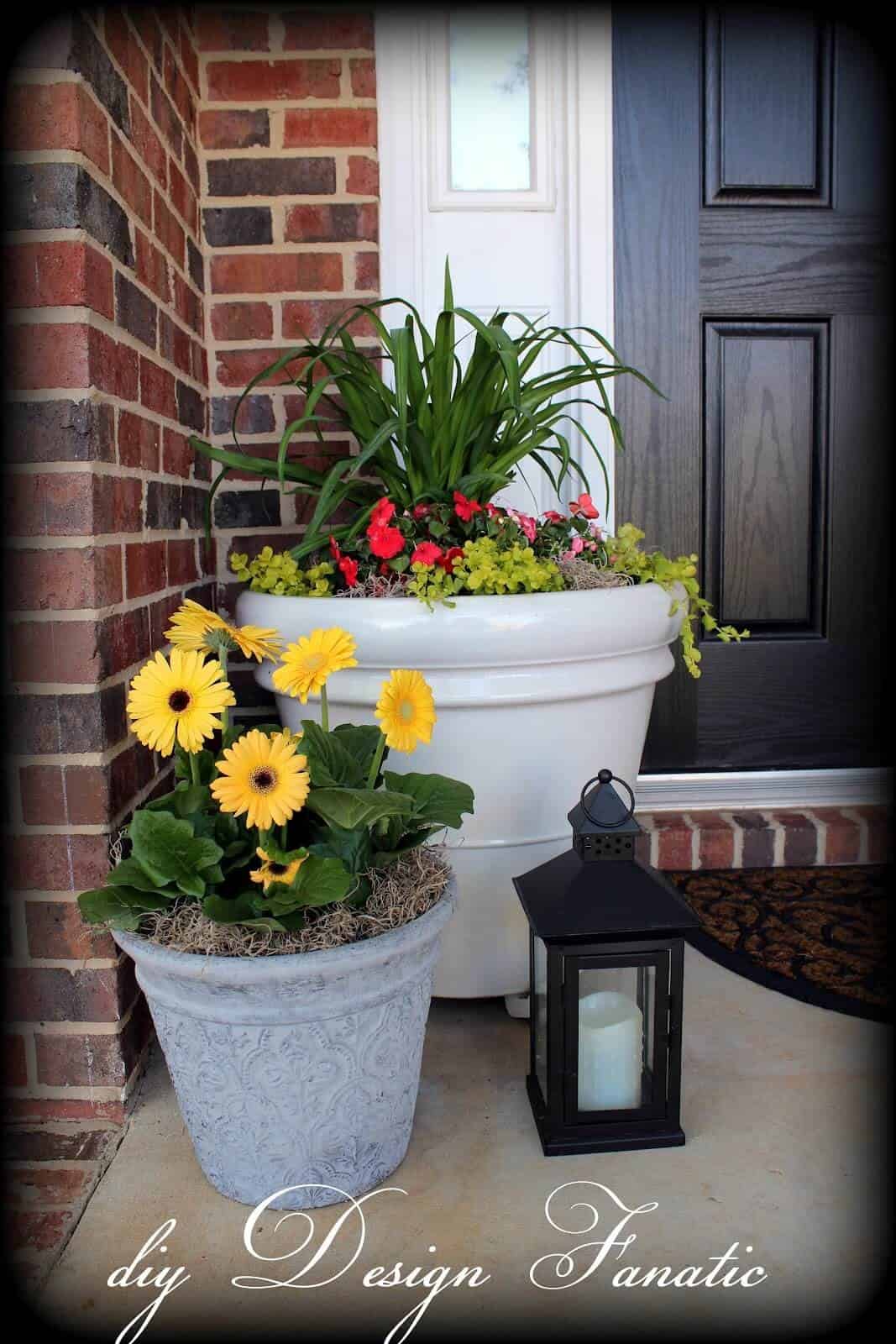 Large Planters with Greens and Gerbera Daisies