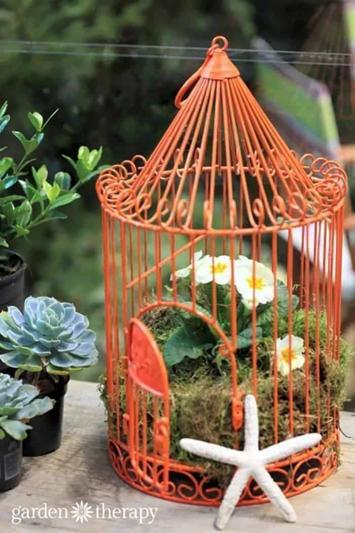 Make Your Birdcage Planter Stand Out