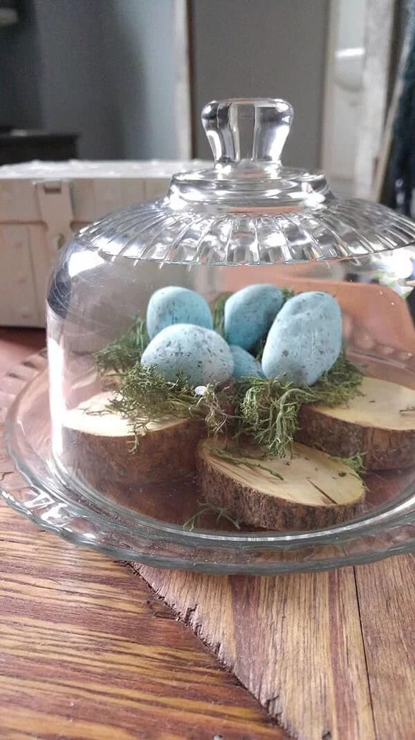 Elegant and Rustic Cloche Design