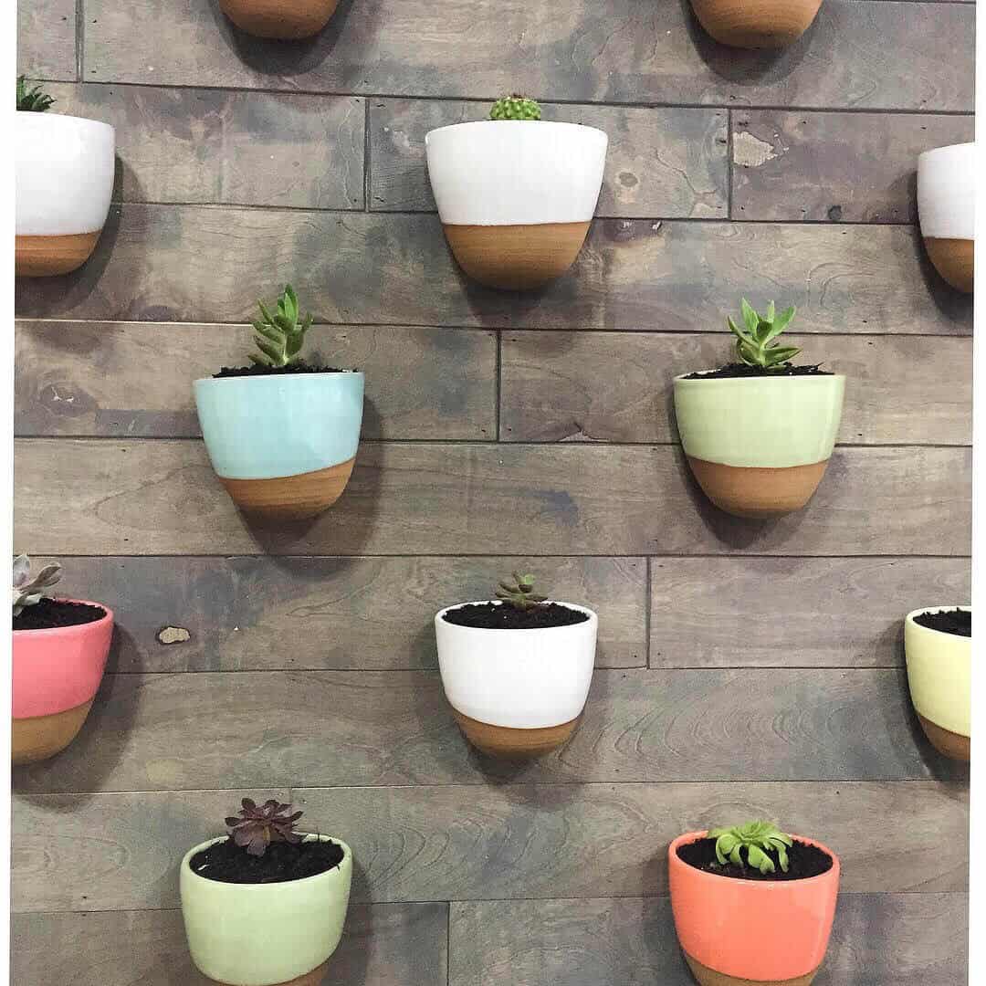 Eye-Catching Stoneware Wall Planters