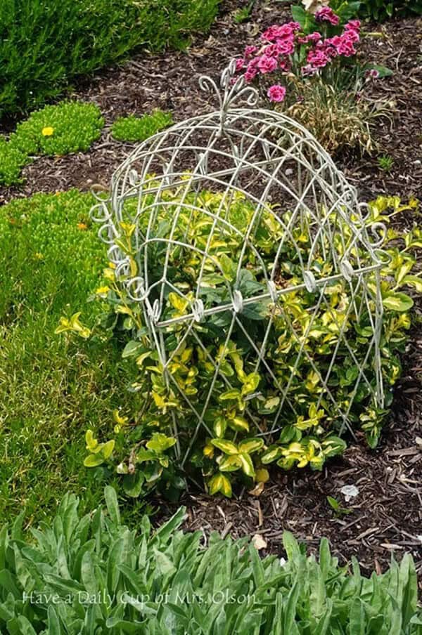 Outdoor Garden Birdcage Plant Dome