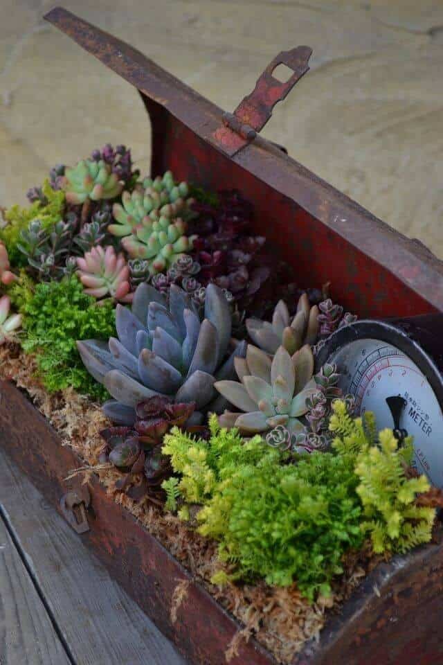 Antique Metal Tool Box Planter