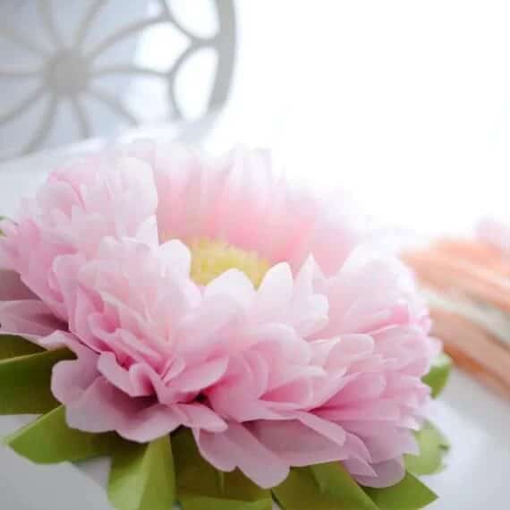 Large and Luscious Pink Peonies