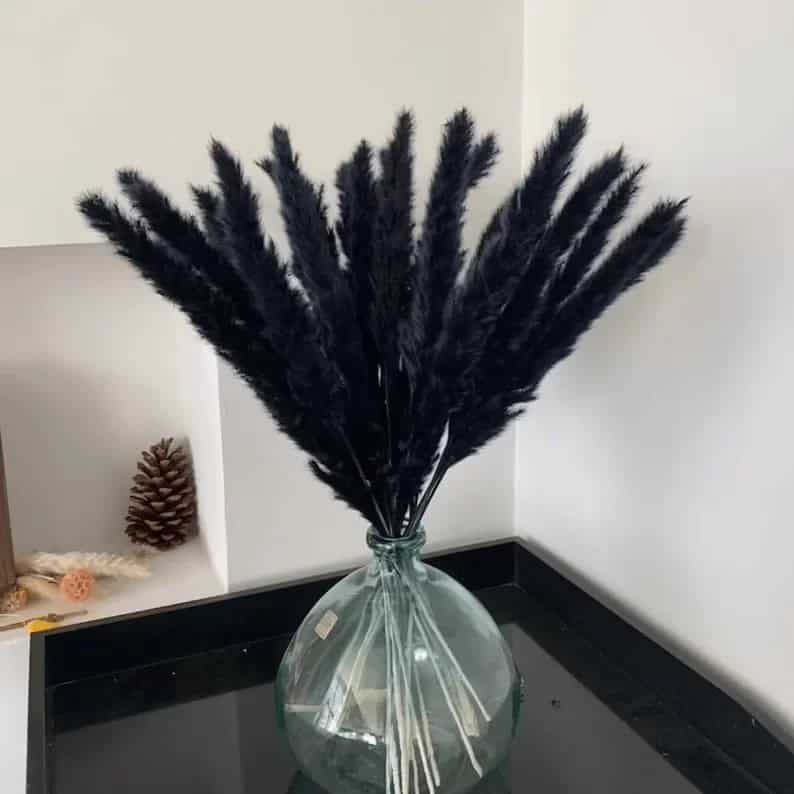 Dyed Black Pampas Grass Plumes for Decorating