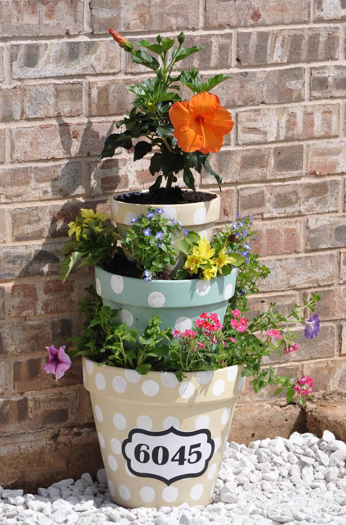 A Flower Pot Tower with Polka Dots