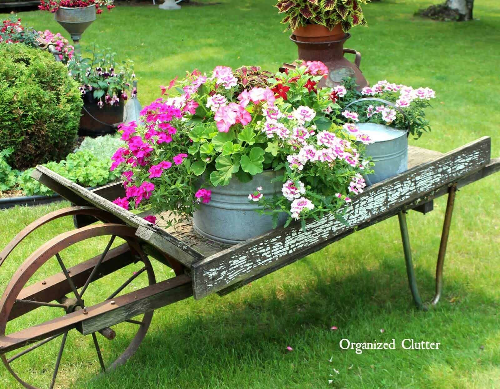 Wheelbarrow Vintage Garden Flower Display